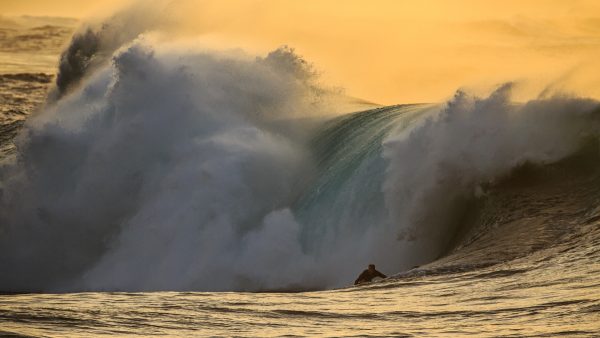 The Surfer's Guide to the Planet - WONDERLUST