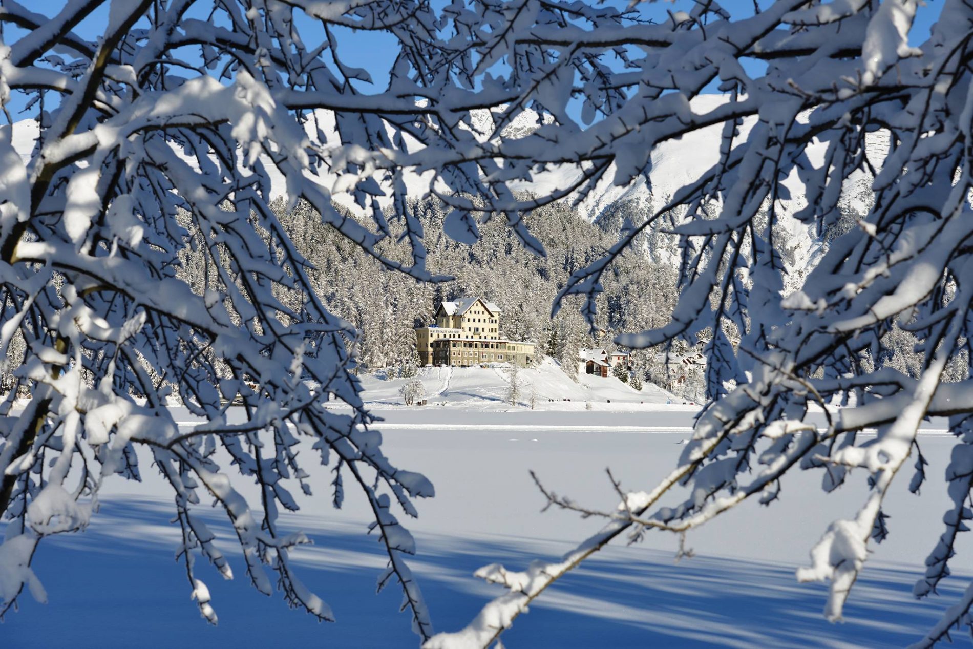THE WORLD'S GREATEST WHISKEY BAR WONDERLUST