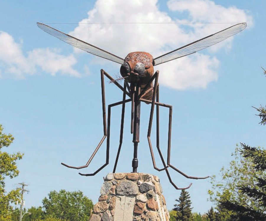 20 Things You Didn't Know About Mosquitoes WONDERLUST