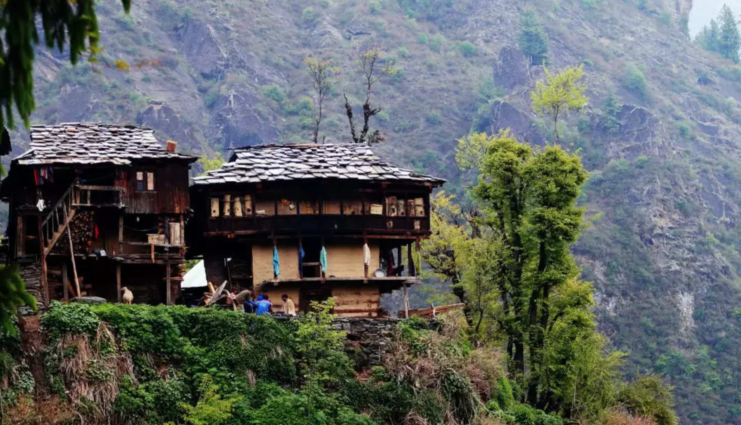 This is a photo of two houses in Malana.