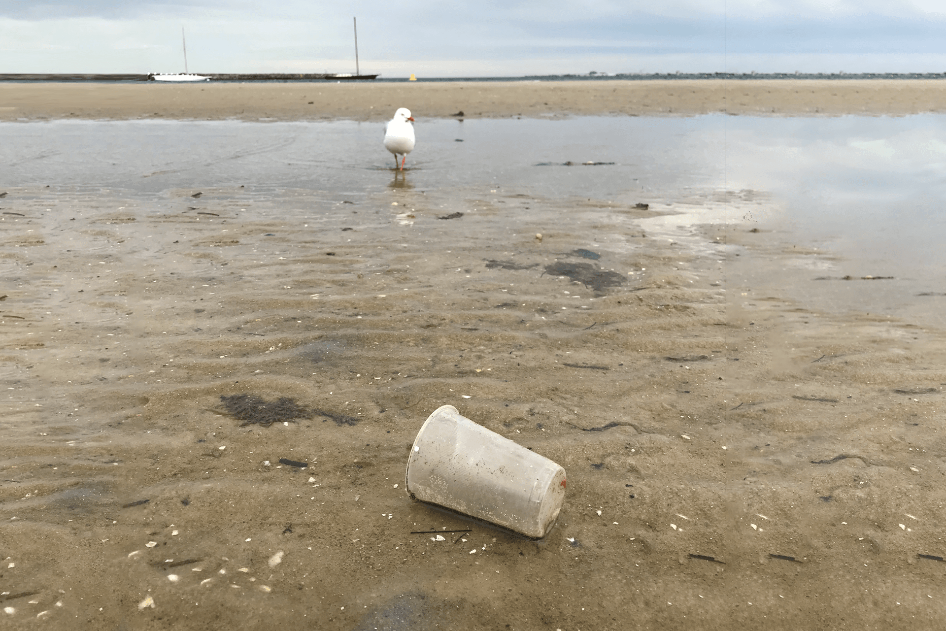 St Kilda Beach, Melbourne