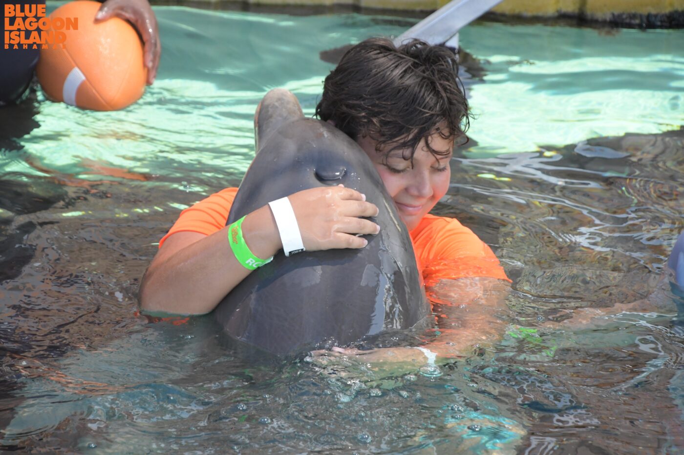 cruise vacation with a young boy hugging a dolphin