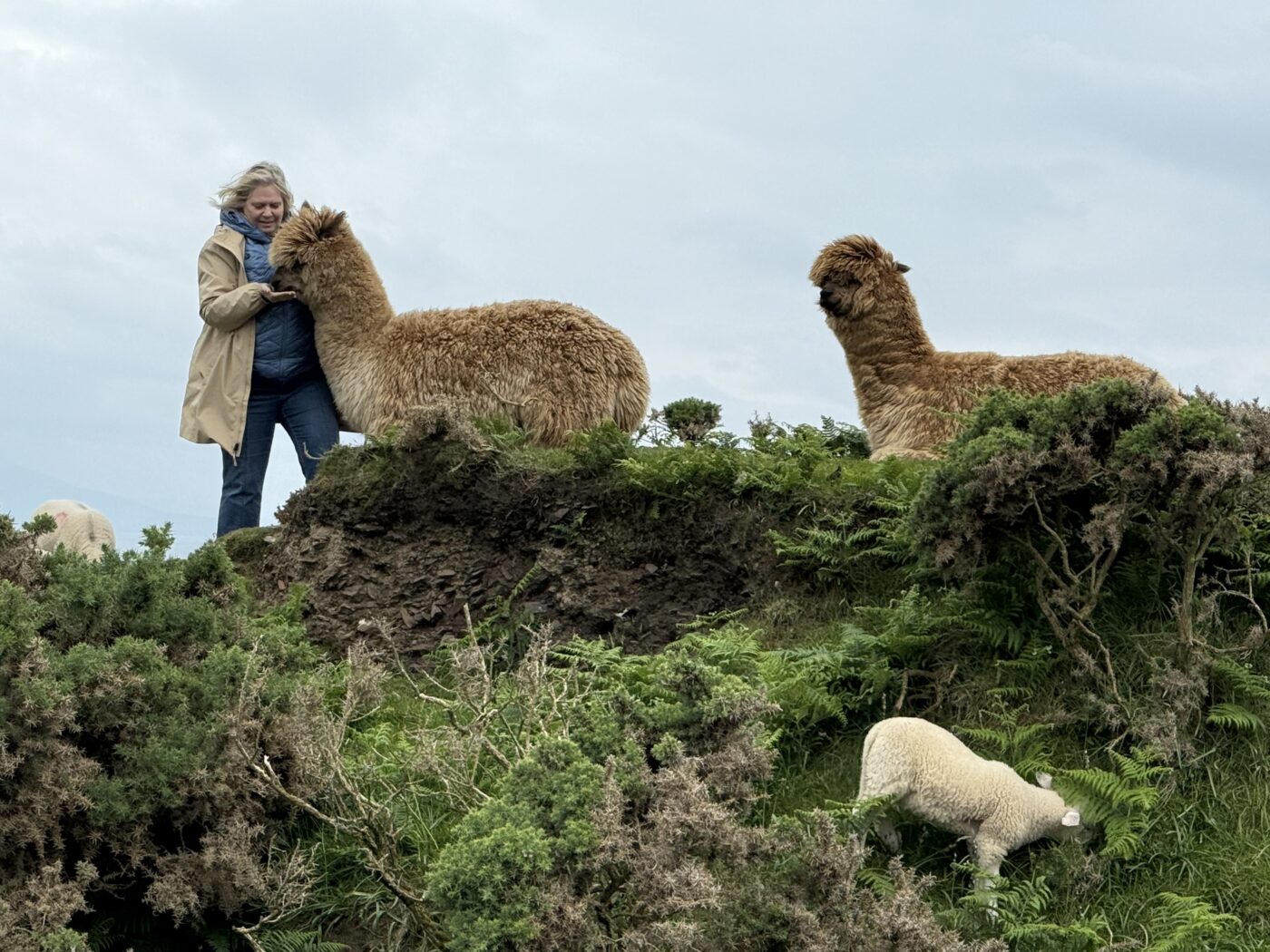 Stopping for flora and fauna