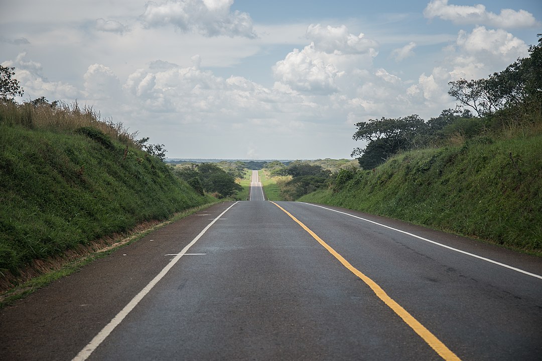 From Kampala to Complexity road to Murchison