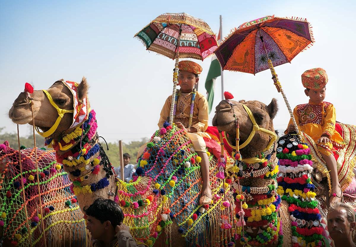 Festival November 2025 Pushkr Camel Fair