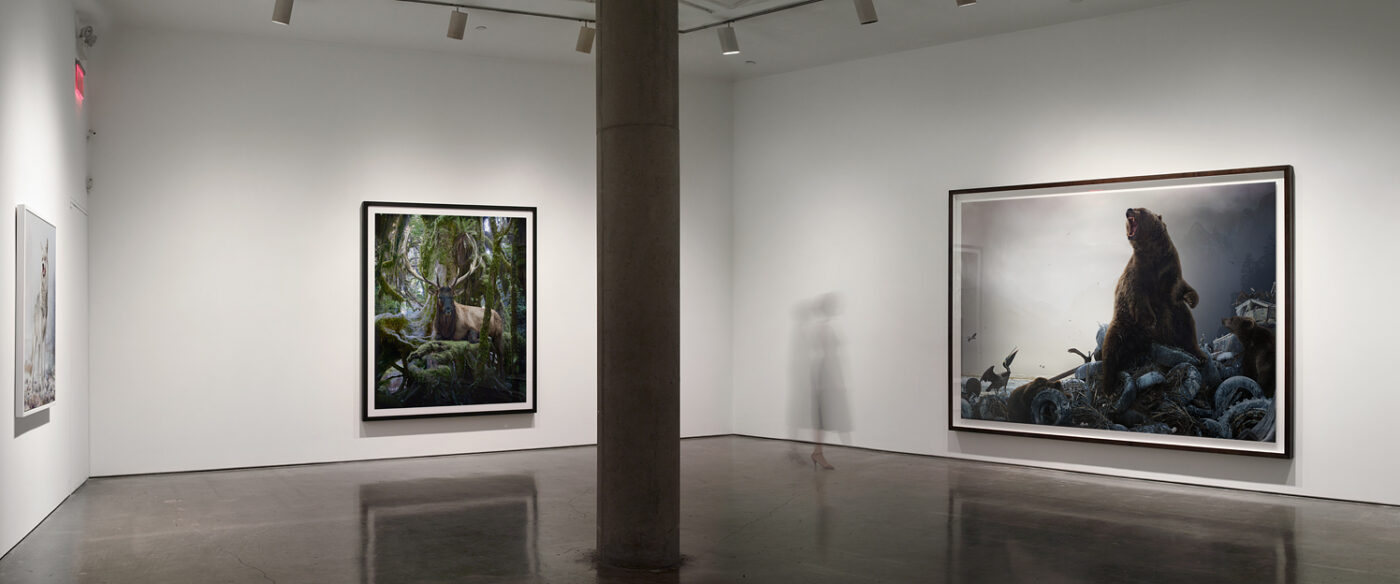 Portfolio Simen Johan