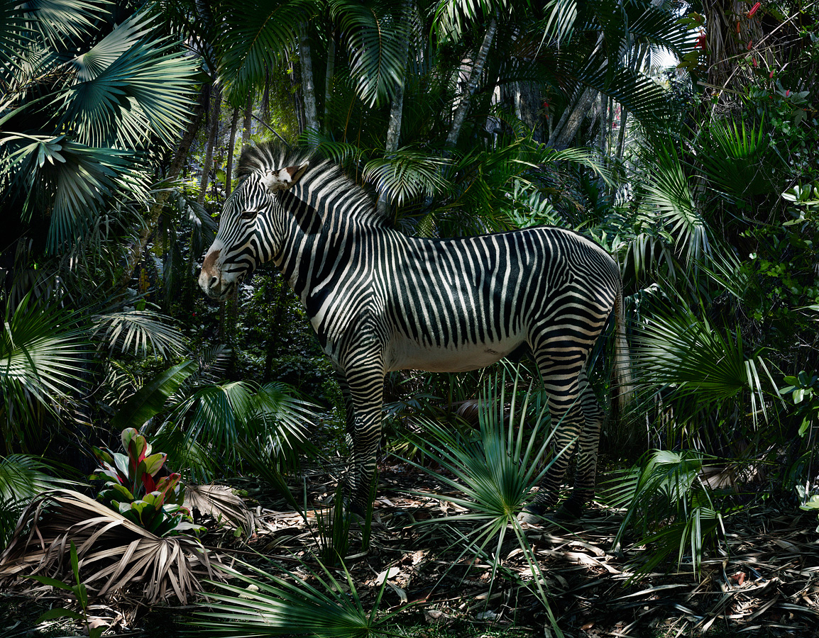 Portfolio Simen Johan