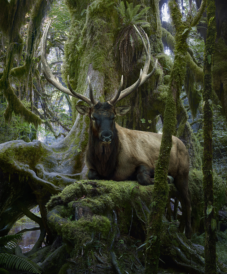 Portfolio Simen Johan