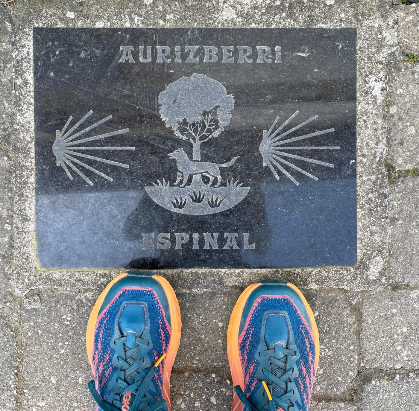 So You Want To Hike the Camino - Which Camino