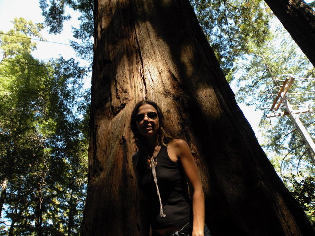 Justine in a Redwood forest