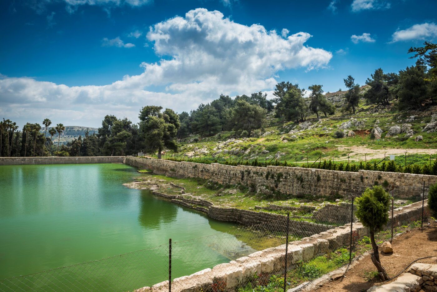 What Palestine Showed Me - Bethlehel