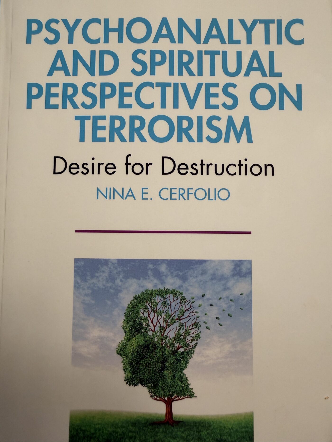 The Doctor Is In Desire for Destruction Book Cover