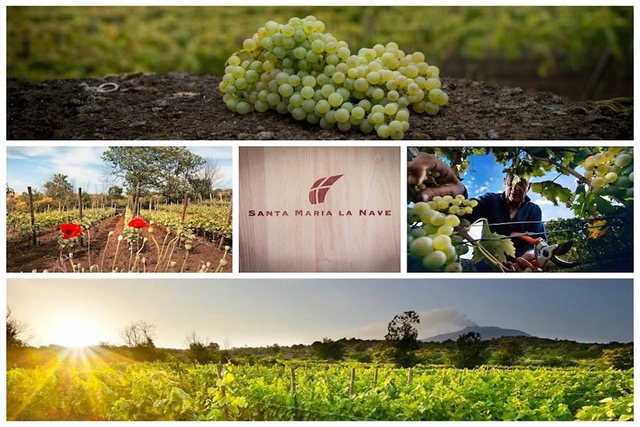 September In Sicily Sante Maria La Nave winery