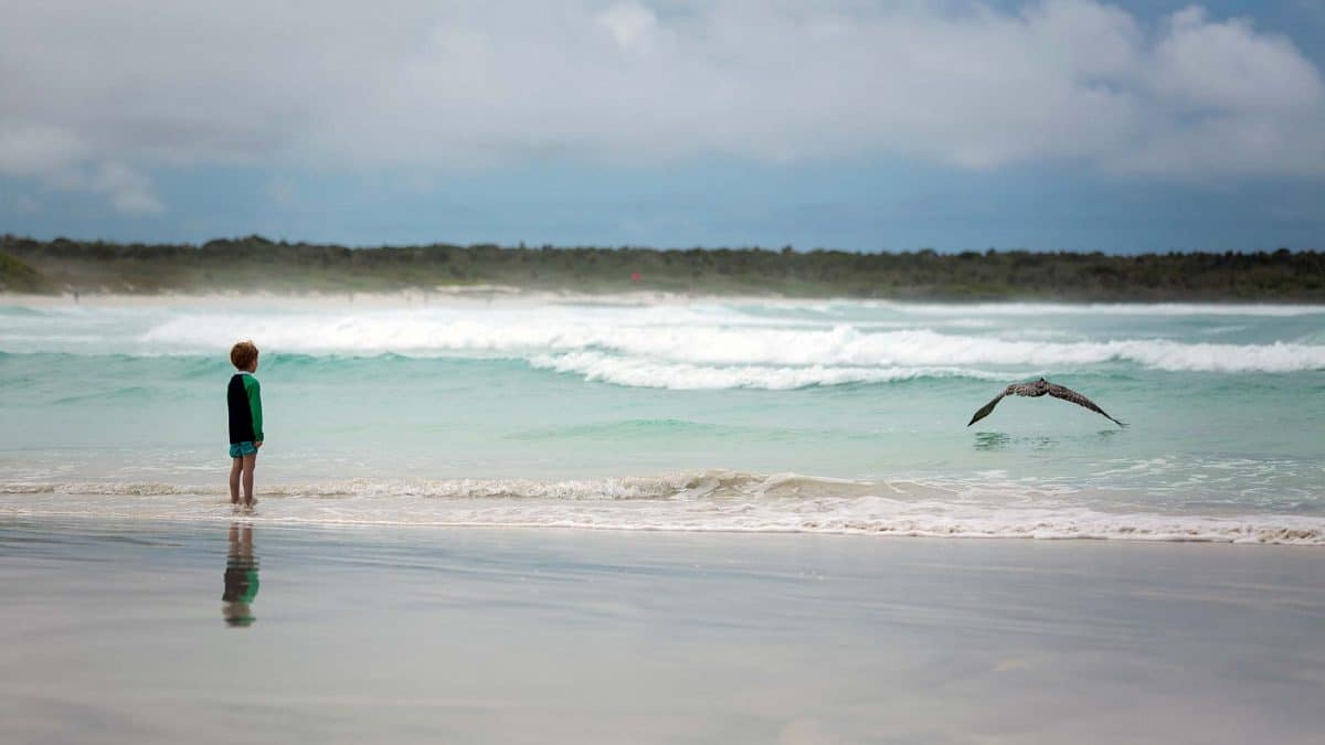 Insider Travel Report Galapagos Safari Camp Santa Cruz