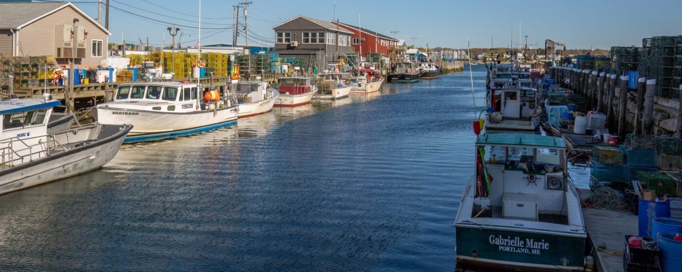 Pre-Fall Festivals Harvest on the Harbor Portland Maine