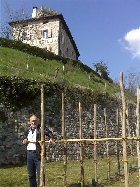 WineDddy Picolit Bianco di Fagagna