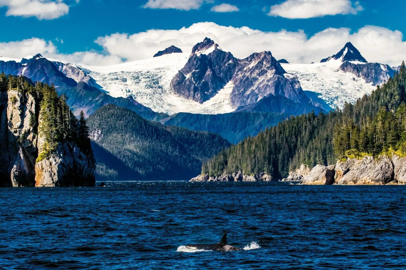 Insider Travel Report - Alaska Kenai Fjords